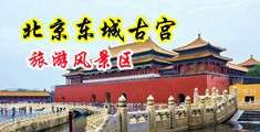 国产中文字幕乱伦一二三中国北京-东城古宫旅游风景区